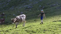 La fenaison en montagne, une tradition suisse