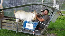 La fenaison en montagne, une tradition suisse