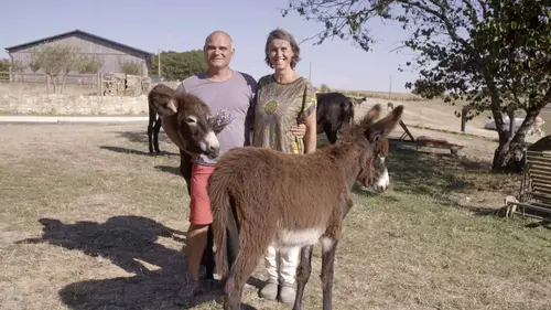 La ferme préférée des Français