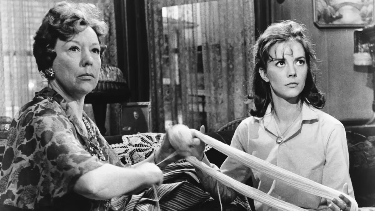 Visuel de La fièvre dans le sang