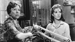 Visuel de La fièvre dans le sang