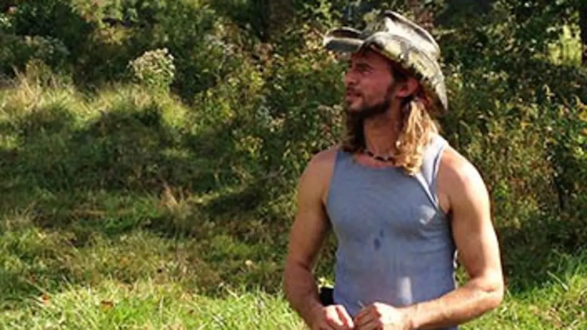 La fièvre du ginseng