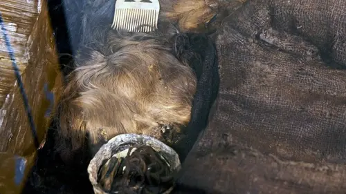 Audiences TV : La fille d'Egtved