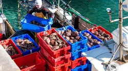 La fin des pêcheurs irlandais