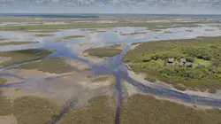 La Floride, un paradis fragile