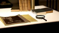 Visuel de La folie de Nietzsche