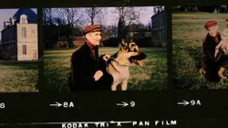 La folle aventure de Louis de Funès