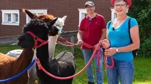 La folle échappée S01E05 René et René