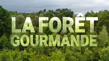 La forêt gourmande La forêt gourmande