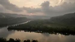 La forêt merveilleuse du Cambodge