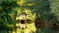 La forêt secrète de la Spree