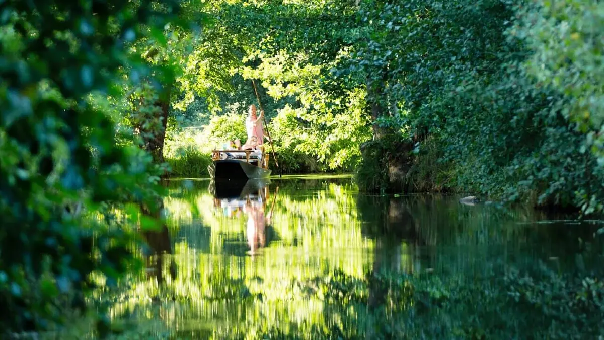 La forêt secrète de la Spree