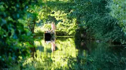 La forêt secrète de la Spree