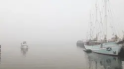 Visuel de La forme des îles