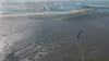 2023 • La France côté Nord : La baie de Somme et la côte d'Opale