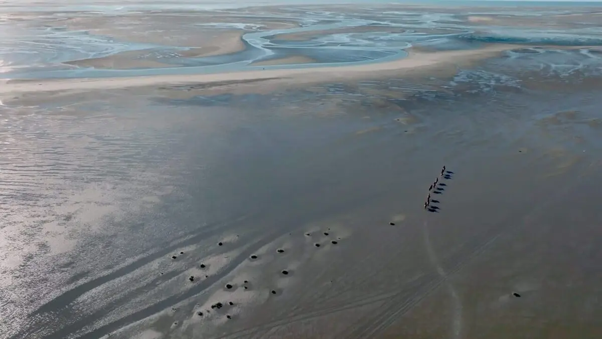 La France côté Nord : La baie de Somme et la côte d'Opale La baie de Somme et la côte d'Opale