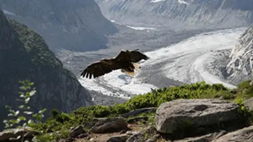 La France du bout du monde S01E01 Pyrénées