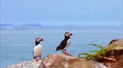 La France du bout du monde