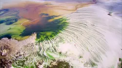 La France du bout du monde