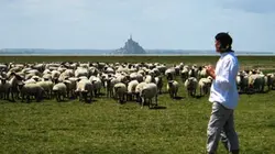 Épisodes de La France par la côte