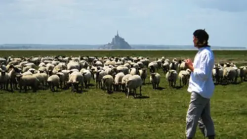 La France par la côte