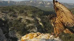Visuel de La France sauvage