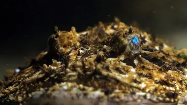 La Bretagne, entre falaise et océan