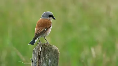 La Bourgogne, les secrets du bocage