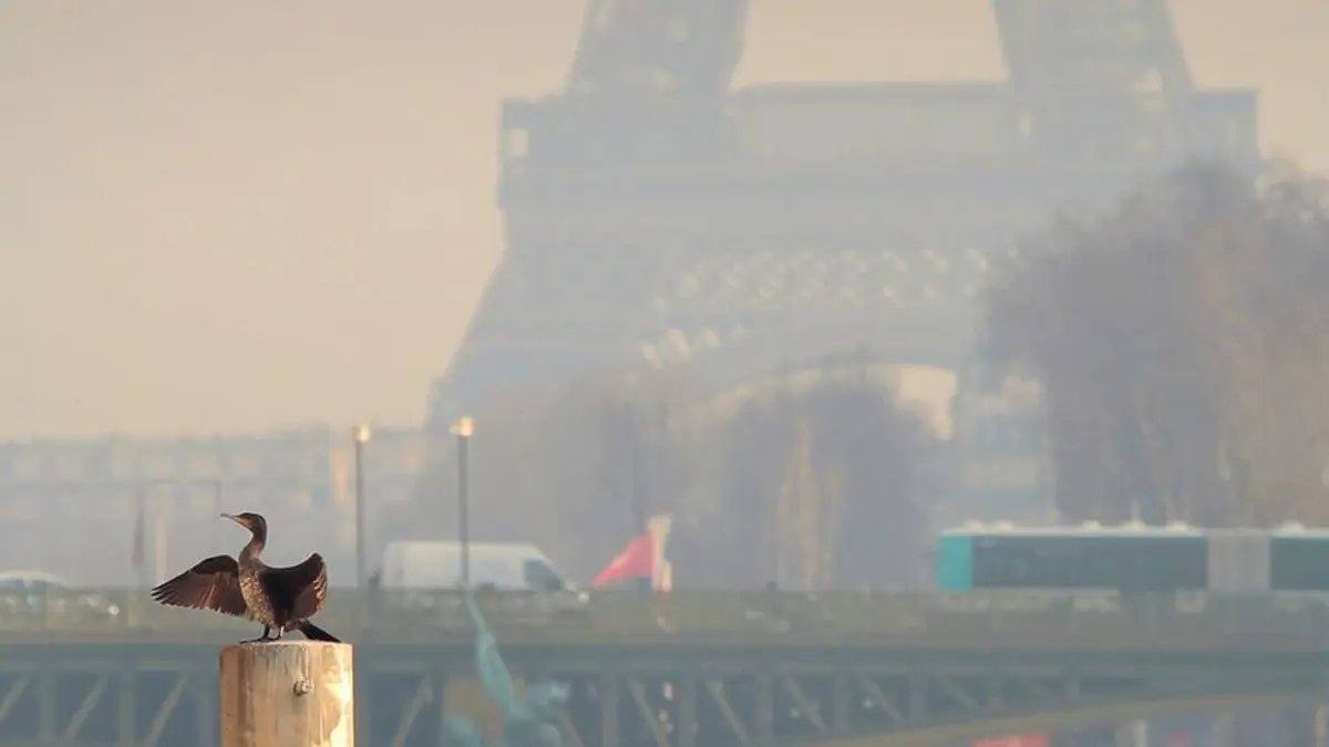 La France sauvage L'Ile-de-France, une nature insoupçonnée