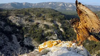 La France sauvage La Provence, le règne du soleil