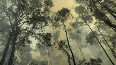 Au coeur de la tornade