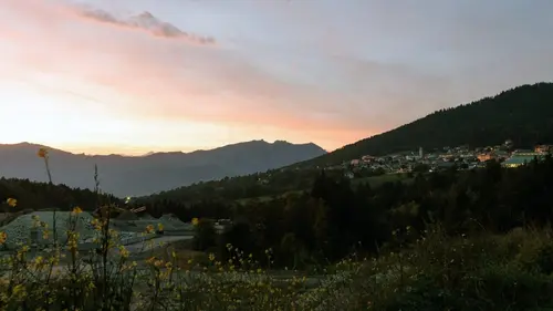 La gardienne de la forêt : Au pays des Cimbres