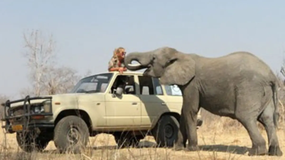 La gardienne des éléphants