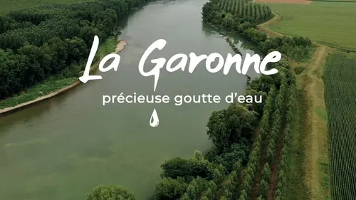 La Garonne, précieuse goutte d'eau