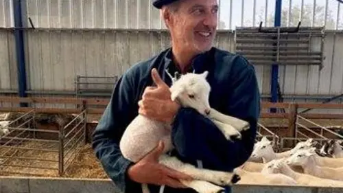 La Gaule d'Antoine Grand Est