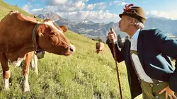 La Gaule d'Antoine Suisse