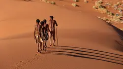 La grande aventure de l'homo sapiens
