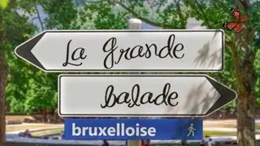 La grande balade bruxelloise : Europe