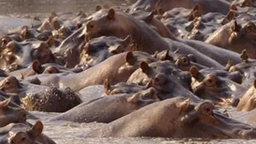 La grande sécheresse E02 Canicule en Zambie
