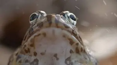 La saison des pluies