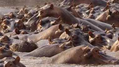 La grande sécheresse E02 Canicule en Zambie