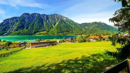 La grande transhumance au Tyrol