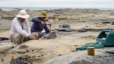 Des chevaux de course et des dinosaures