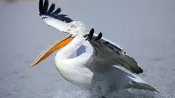 La Grèce sauvage Le Nord, méconnu et surprenant