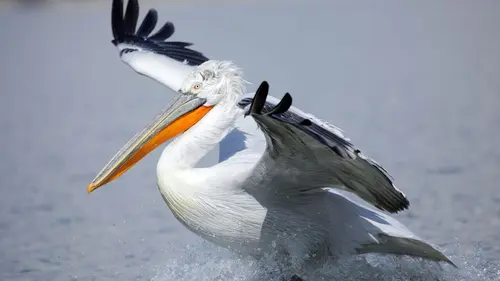 La Grèce sauvage Le Nord, méconnu et surprenant