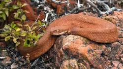 La Grèce sauvage Les îles mystérieuses