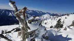 La Grèce sauvage Le Nord, méconnu et surprenant