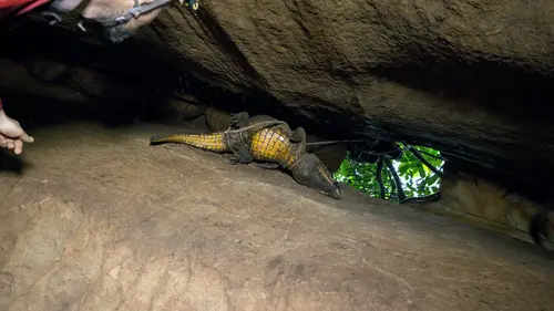 La grotte des crocos