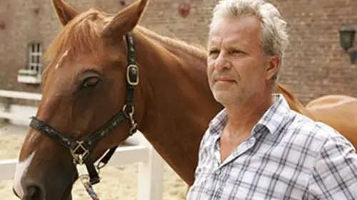 La guérison au galop