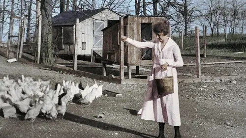 La guerre de tous les Français